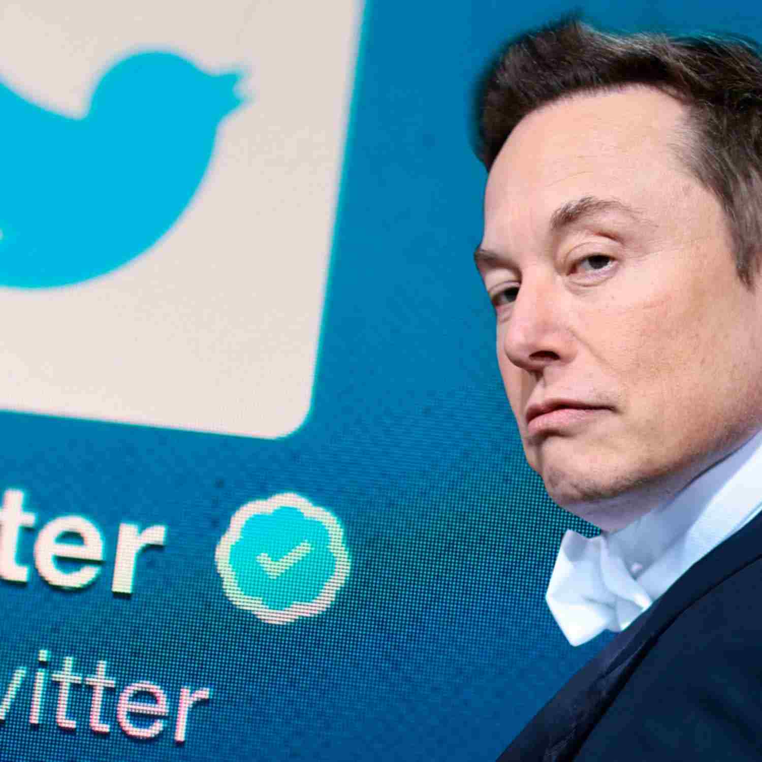 Elon Musk sigue despidiendo personal en Twitter