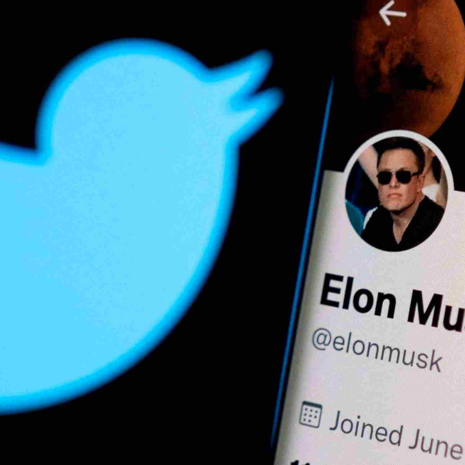 Gerente de Twitter recurrió a poder judicial de Irlanda para evitar ser despedida por Musk